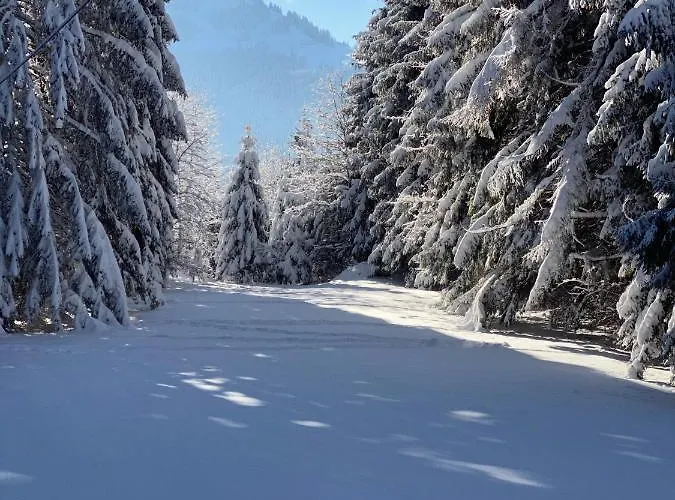 Wald-ferienhaus-seefried Prázdninový dům Immenstadt im Allgäu