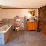 Wald-ferienhaus-seefried * Immenstadt im Allgäu